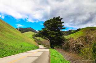 Old Creek Road-2022.jpg Old Creek Road-2022.jpg